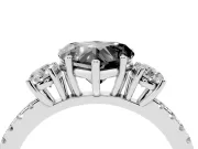 Fancy Black Heart Cut Diamond Three-Stone Ring Set in Platinum with Pavé Band and Graduated Sides