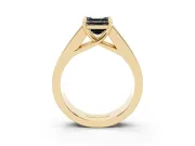 Asscher Cut Channel-Set Engagement Ring Setting for a Black Center | Wide Band | Yellow Gold