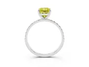 Fancy Yellow Radiant Cut Diamond Solitaire Ring Set in Platinum with Round Pavé Band and Prong Setting