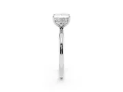Princess Cut Hidden Halo Engagement Ring Setting | Thin Plain Band | White Gold