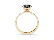Round Pavé Solitaire Engagement Ring Setting for a Black Center | Fine Line Pavé Band | Yellow Gold