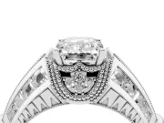 Emerald Cut Diamond Vintage-Inspired Milgrain Ring Set in White gold with Accent Split Shank