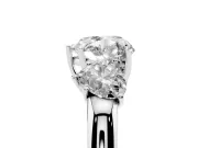 Heart Cut Diamond Three-Stone Ring Set in White gold with Bold Center and Classic Band