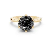 Fancy Black Round Cut Diamond Solitaire Engagement Ring Set in Yellow gold with Slim Tapered Solitaire Band