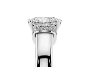 Radiant Cut Pavé Collar Solitaire Engagement Ring Setting | Wide Polished Band | White Gold