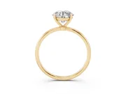 Round Thin Solitaire Engagement Ring Setting | Straight Plain Band | Yellow Gold