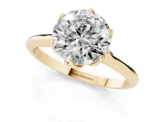 Round Cathedral Solitaire Engagement Ring Setting | Tulip Gallery | Yellow Gold