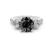 Fancy Black Three-Stone Round Cut Diamond Pavé Band Ring Set in Platinum with Prong-Set Trio