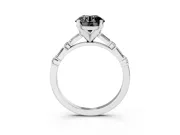 Fancy Black Round Cut Diamond Solitaire Set in Silver with Side Baguettes and Channel Set Band