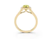 Fancy Yellow Emerald Cut Halo Round Diamond Solitaire Ring Set in Yellow gold with Pavé Band and Prong Setting