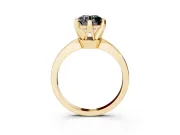 Fancy Black Round Cut Diamond Solitaire Engagement Ring Set in Yellow gold with Slim Tapered Solitaire Band