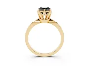 Fancy Black Asscher Cut Diamond Solitaire Engagement Ring Set in Yellow gold with Slim Tapered Solitaire Band