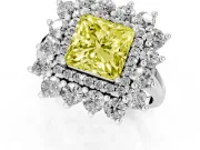 Princess Cut Floral Double Halo Engagement Ring Setting for a Fancy Yellow Lab-Grown Diamond | Plain Band | Platinum