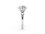Round Floral Engagement Ring Setting | Petal Frame and Side Stones | Platinum