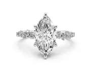 Marquise Cut Diamond Solitaire Vine Band Ring Set in White gold with Round Accents and Prong Setting