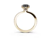Round Hidden Halo Solitaire Engagement Ring Setting for a Black Center | Pavé Band | Yellow Gold