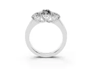 Fancy Black Three-Stone Marquise Cut Diamond Ring Set in Platinum with Matching Prong Settings and Plain Band