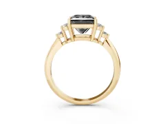 Fancy Black Princess Cut Diamond Cluster Ring Set in Yellow gold with Plain Band and Prong Setting