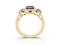 Fancy Black Princess Cut Diamond Three-Stone Ring Set in Yellow gold with Round Side Stones and Classic Band