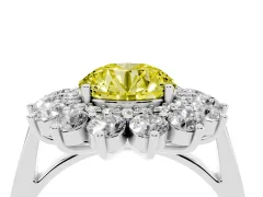 Fancy Yellow Round Cut Diamond Floral Double Halo Ring Set in Platinum with Round Petals