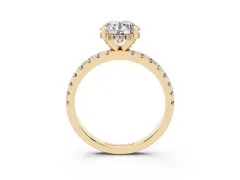 Round Cut Diamond Pavé Solitaire Ring Set in Yellow gold with Round Band Accents and Prong Setting