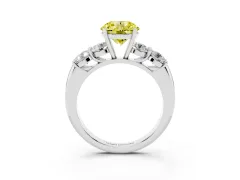 Fancy Yellow Round Cut Diamond Five-Stone Prong Set Ring Set in Silver with Classic Band