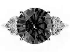 Fancy Black Round Cut Diamond Cluster Ring Set in Platinum with Plain Band and Prong Setting