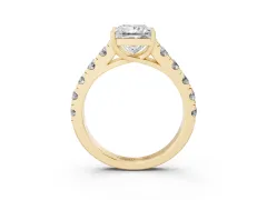 Princess Cut Diamond Solitaire Ring Set in Yellow gold with Cut-Down Micro Pavé Band and Prong Setting