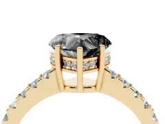 Fancy Black Heart Cut Diamond Solitaire Engagement Ring Set in Yellow gold with Pavé Band and Prong Setting