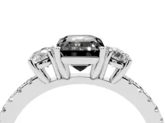 Fancy Black Emerald Cut Diamond Three-Stone Ring Set in Silver with Pavé Band and Graduated Sides