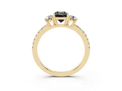 Fancy Black Emerald Cut Diamond Three-Stone Ring Set in Yellow gold with Pavé Band and Graduated Sides