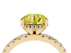 Fancy Yellow Round Cut Diamond Pavé Solitaire Ring Set in Yellow gold with Round Band Accents and Prong Setting