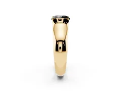 Fancy Black Round Cut Diamond Bezel Solitaire Ring Set in Yellow gold with Wide Band