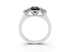 Fancy Black Emerald Cut Diamond Three-Stone Ring Set in Platinum with Plain Polished Band