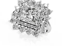 Princess Cut Diamond Floral Double Halo Ring Set in Silver with Round Petals