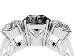 Fancy Black Round Cut Diamond Three-Stone Ring Set in White gold with Textured Band