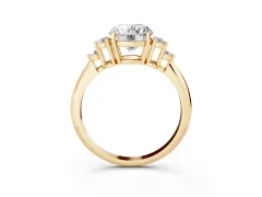 Round Cut Diamond Cluster Ring Set in Yellow gold with Plain Band and Prong Setting