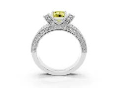 Fancy Yellow Emerald Cut Diamond Milgrain Halo Pavé Engagement Ring Set in Platinum with Prong Setting