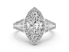 Marquise