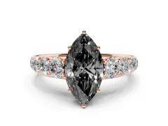 Marquise