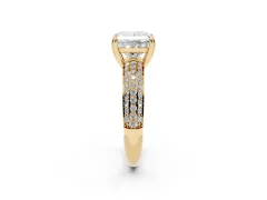 Princess Cut Diamond Solitaire Ring Set in Yellow gold with Multi-Row Round Pavé Band and Prong Setting