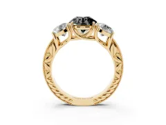 Fancy Black Round Cut Diamond Three-Stone Engagement Ring Set in Yellow gold with Milgrain Pavé Band