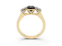 Fancy Black Emerald Cut Diamond Three-Stone Ring Set in Yellow gold with Plain Polished Band