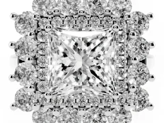 Princess Cut Diamond Floral Double Halo Ring Set in Platinum with Round Petals