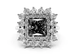 Fancy Black Princess Cut Diamond Floral Double Halo Ring Set in Silver with Round Petals