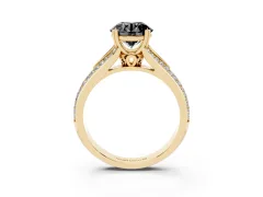 Fancy Black Round Cut Diamond Split Shank Pavé Engagement Ring Set in Yellow gold with Prong-Set Center Stone