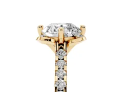 Round Cut Diamond Solitaire Ring Set in Yellow gold with Pavé Band and Floral Prong Setting