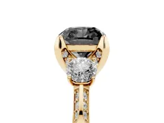Fancy Black Cushion Cut Diamond Three-Stone Ring Set in Yellow gold with Pavé Band and Smaller Side Stones