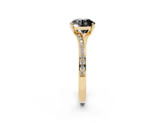 Fancy Black Round Cut Diamond Solitaire Ring Set in Yellow gold with Pavé Accent Band and Classic Prong Setting