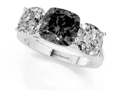 Fancy Black Cushion Cut Diamond Three-Stone Ring Set in Silver with Plain Polished Band